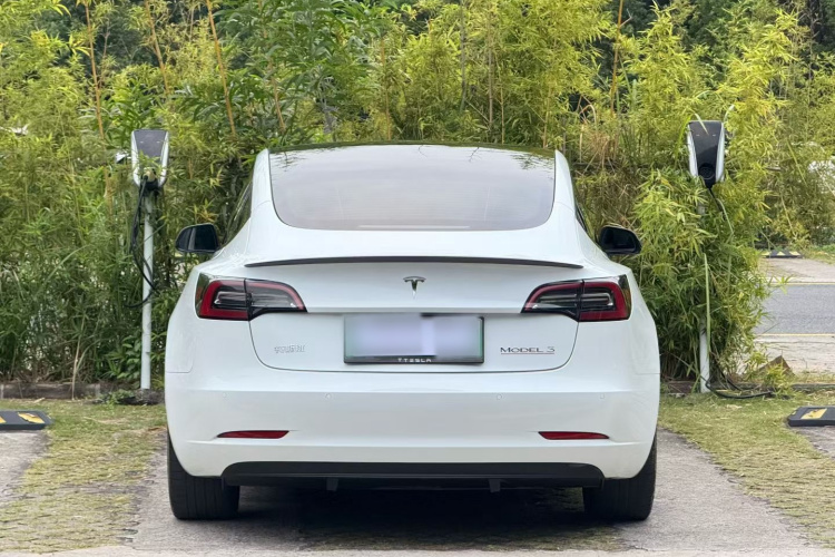 特斯拉 Model 3 2022款 Performance高性能全轮驱动版车身外观6005