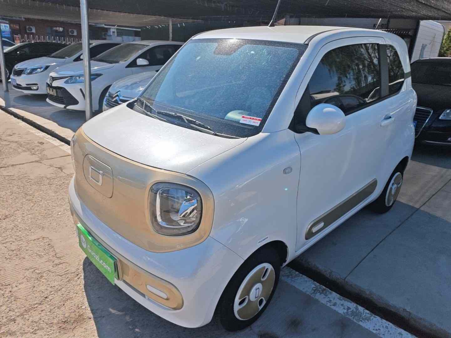 奔腾小马 2024款 170km 活力马(2)