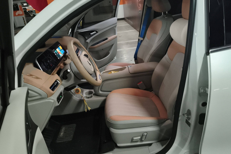 欧拉好猫 2024款 401km 尊荣型 126kW局部细节19