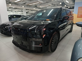 极氪009 2022款 WE版