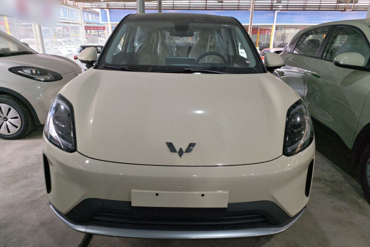 五菱汽车 缤果S 2025款 430km 尊享款车身外观6001