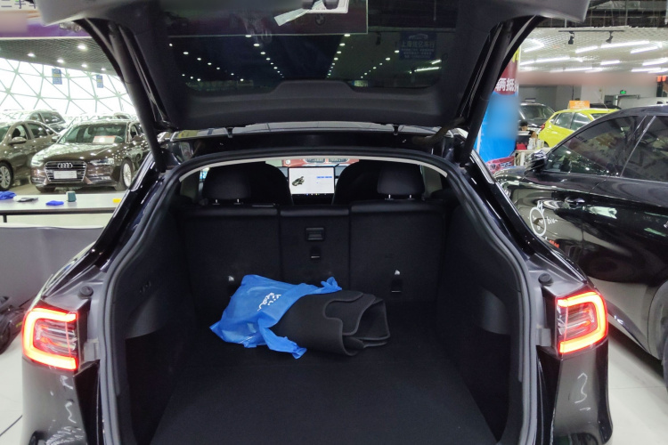 特斯拉 Model Y 2021款 长续航全轮驱动版 3D7机舱底盘23