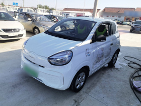 荣威 科莱威CLEVER 2021款 302km全能版