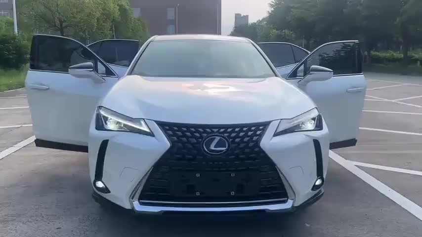 雷克萨斯UX新能源 2020款 300e 纯·享版实拍1