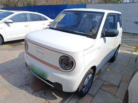 吉利银河 2024款 熊猫mini 200km 耐力熊