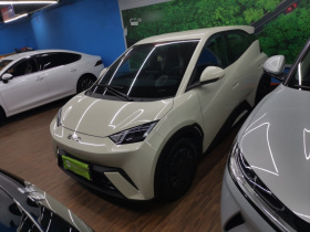 比亚迪 海鸥 2025款 305km 活力版