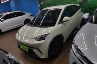 比亚迪 海鸥 2025款 305km 活力版