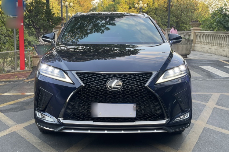 雷克萨斯RX 2021款 300 四驱F SPORT车身外观6005