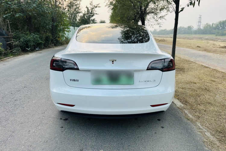 特斯拉 Model 3 2019款 标准续航后驱升级版车身外观6001