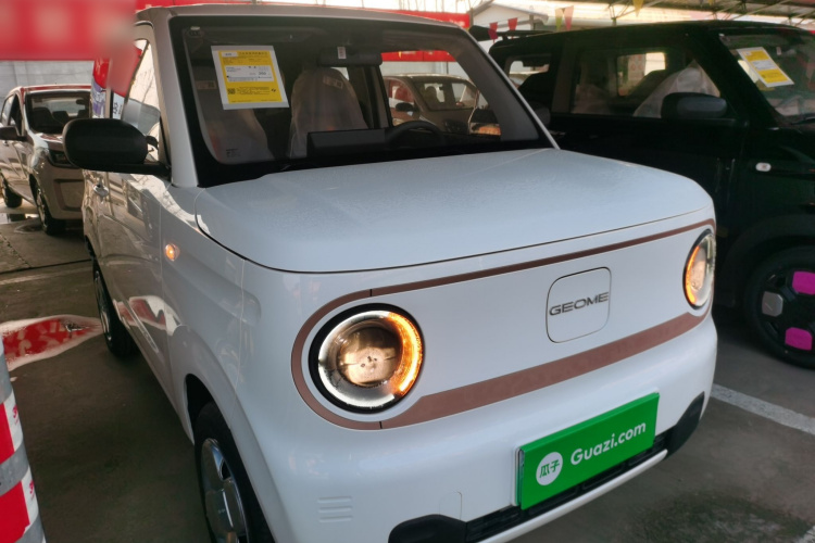 吉利银河 2024款 熊猫mini 200km 耐力熊车身外观6002