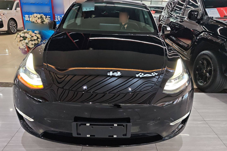 特斯拉 Model Y 2021款 标准续航后驱版车身外观2