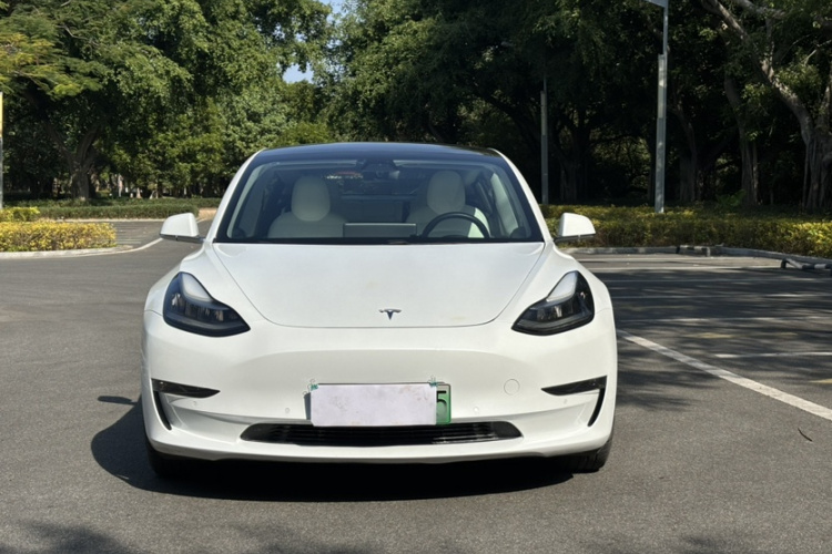特斯拉 Model 3(进口) 2019款 长续航全轮驱动版车身外观6005