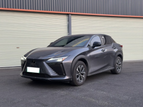 雷克萨斯RZ 2023款 450e 四驱纵享版