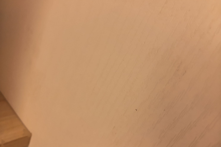 大众 途昂X 2023款 380TSI 四驱豪华版局部细节41