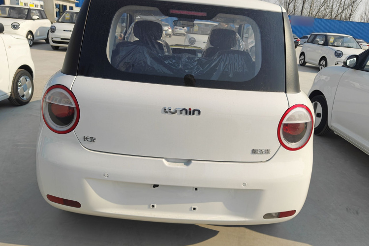 长安启源 长安Lumin 2026款 宝藏版 205km 心爱米 国轩车身外观6003