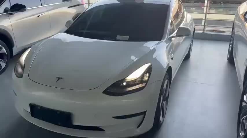 特斯拉 Model 3 2020款 改款 标准续航后驱升级版实拍1