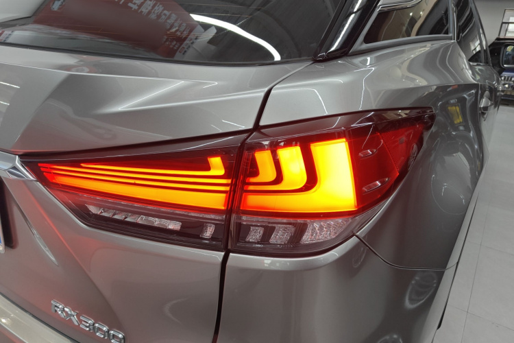 雷克萨斯RX 2020款 改款 300 两驱精英版车身外观9