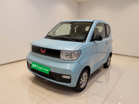 五菱汽车 宏光MINIEV 2020款 自在款 磷酸铁锂