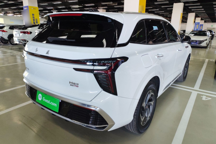 红旗HS3 2023款 1.5T 两驱善为版车身外观6005