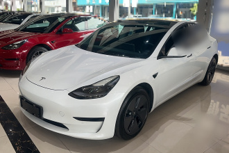 特斯拉 Model 3 2021款 改款 标准续航后驱升级版 3D1
