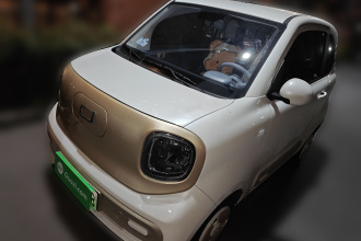 奔腾小马 2024款 170km 活力马