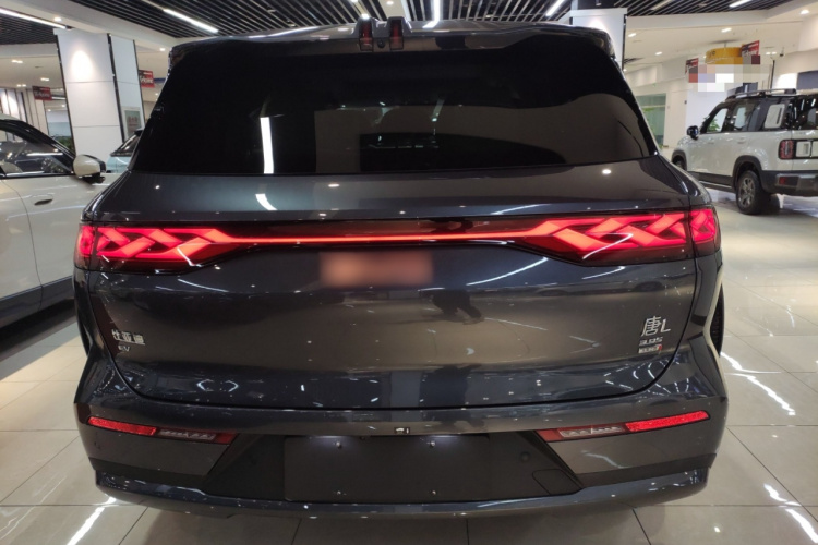 比亚迪 唐L 2025款 EV 600KM四驱激光雷达旗舰型车身外观6