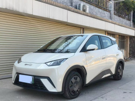 比亚迪 海鸥 2023款 活力版