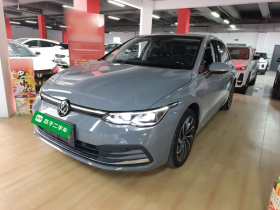 大众 高尔夫 2023款 280TSI DSG Pro