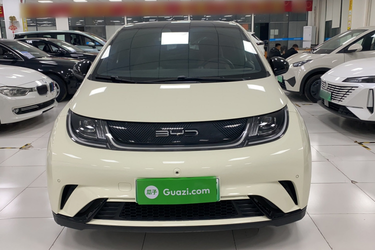 比亚迪 海豚 2023款 420km 时尚版车身外观6001