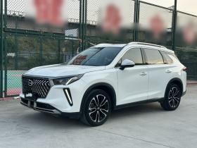 广汽传祺 传祺GS4 PLUS 2021款 390T 自动星云版