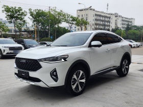 哈弗F7x 2019款 1.5T 两驱极智潮玩版