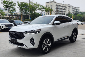 哈弗F7x 2019款 1.5T 两驱极智潮玩版