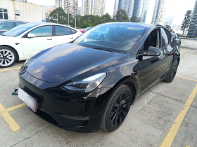 特斯拉 Model Y 2021款 长续航全轮驱动版 3D7