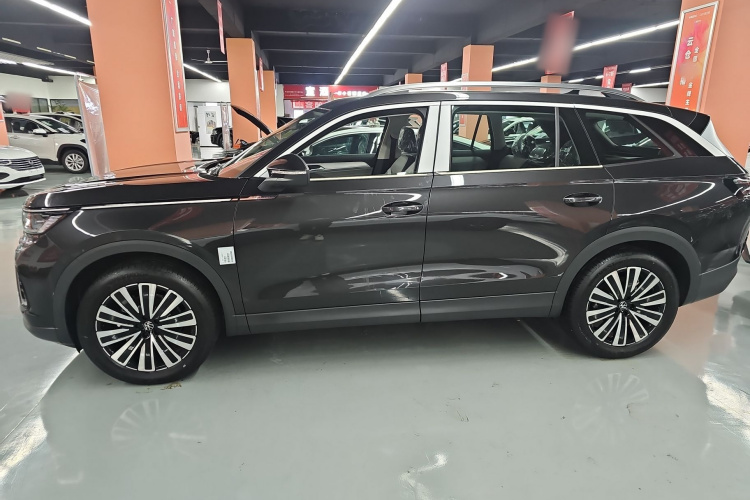 大众 揽巡 2025款  330TSI 豪华巡逸 众享款车身外观6002