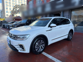 大众 途观L新能源 2021款 430PHEV 插电混动尊贵版