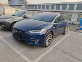 特斯拉 Model X 2019款 长续航版