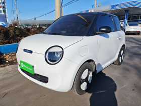 长安启源 长安Lumin 2023款 205km 香沁款