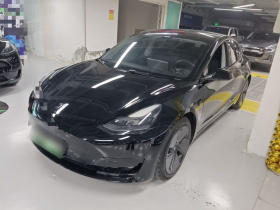 特斯拉 Model 3 2021款 标准续航后驱升级版 3D6
