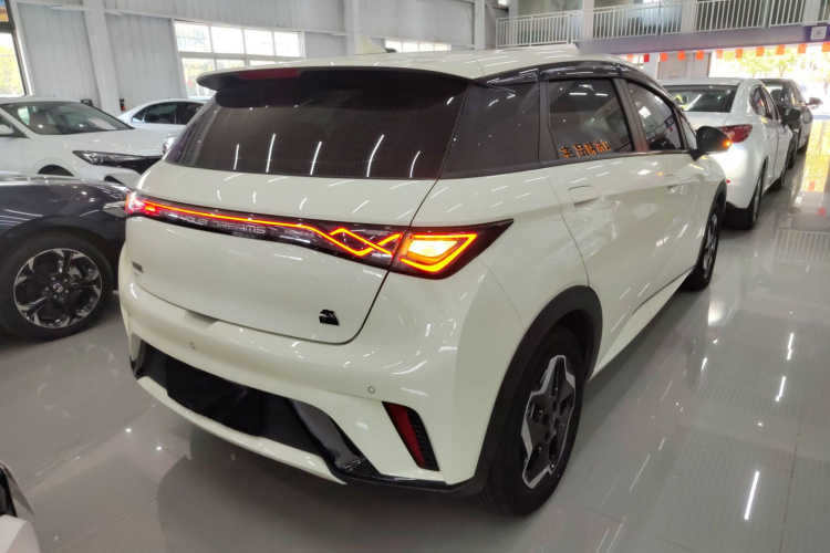 比亚迪 海豚 2021款 405km 时尚版车身外观6005