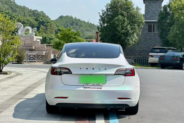 特斯拉 Model 3 2021款 标准续航后驱升级版 3D6车身外观6002