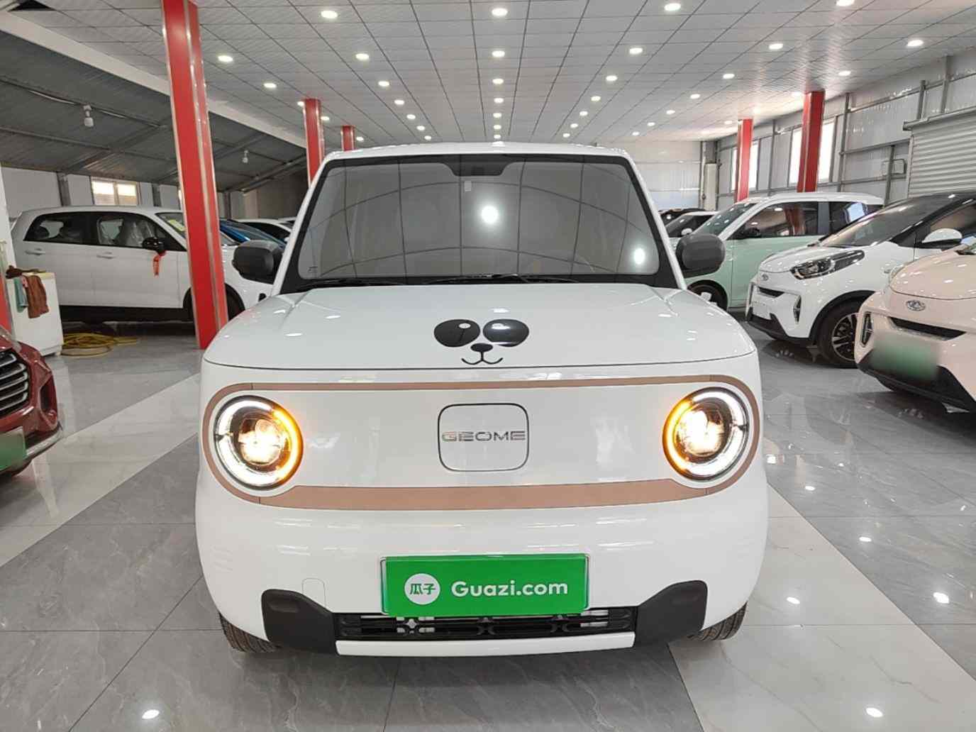 吉利银河 2024款 熊猫mini 200km 耐力熊(1)