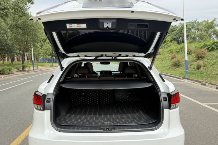 雷克萨斯RX 2020款 300 四驱典雅版 国VI局部细节24