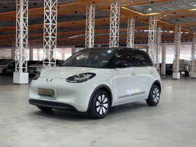 五菱汽车 五菱缤果 2023款 333km 灵犀互联+款