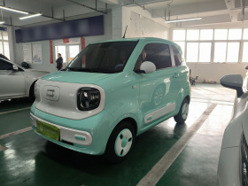 奔腾小马 2024款 170km 活力马