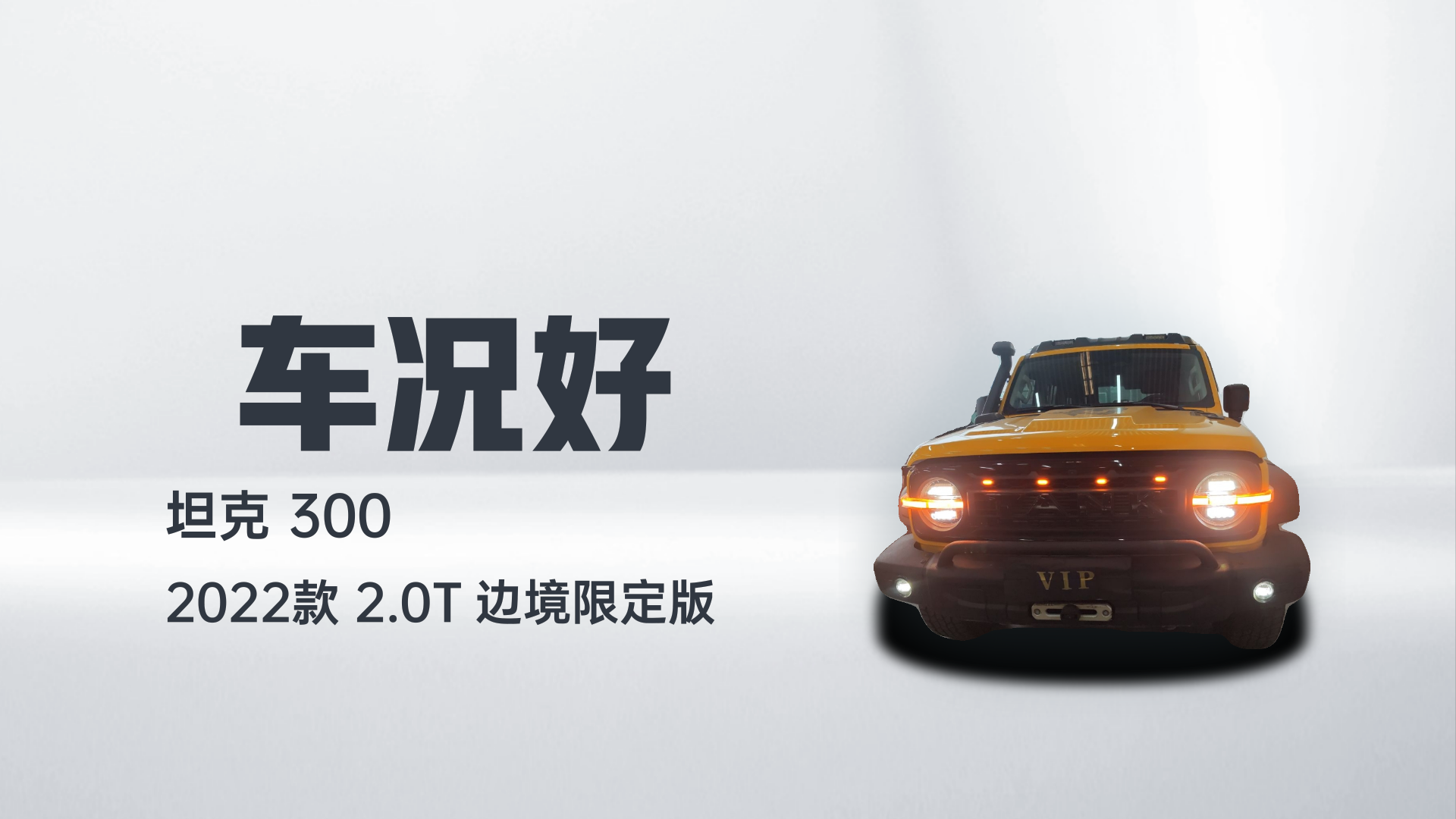 坦克300 2022款 2.0T 边境限定版解读1