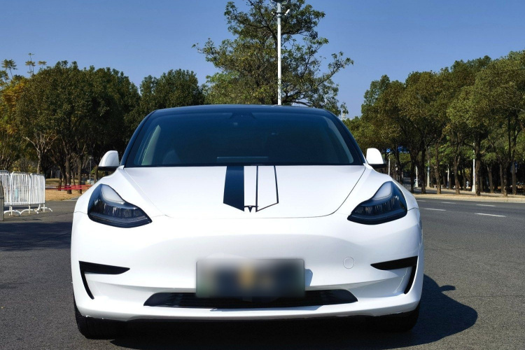特斯拉 Model 3 2019款 标准续航后驱升级版车身外观6006
