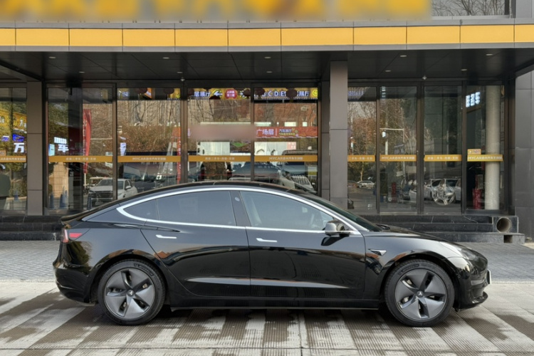 特斯拉 Model 3(进口) 2019款 长续航后驱版车身外观6011
