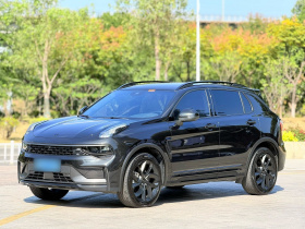 领克01 2021款 2.0TD 四驱暗夜版