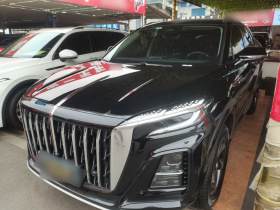 红旗HS3 2024款 1.5T 善为版