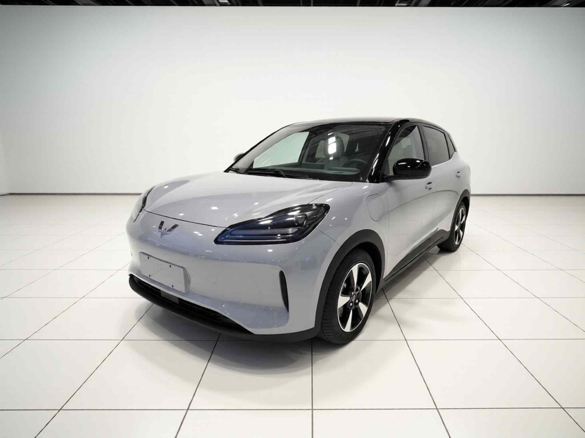 五菱汽车 五菱缤果PLUS 2024款 510km 五座版(2)